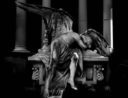 angelの写真素材