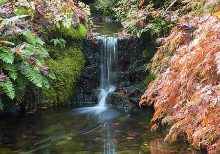 Beautiful Fall Colors in The Buchart Gardenの写真素材