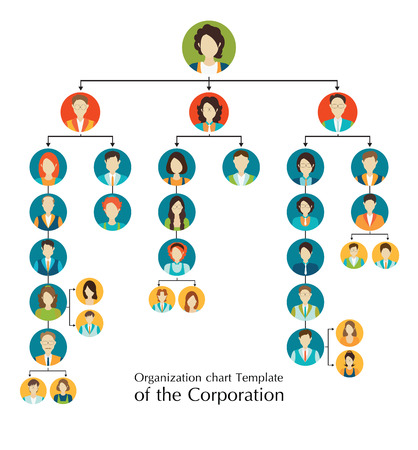 Organizational chart template of the corporation business hierarchy ,people structure, character cartoon business people conceptual vector illustration.