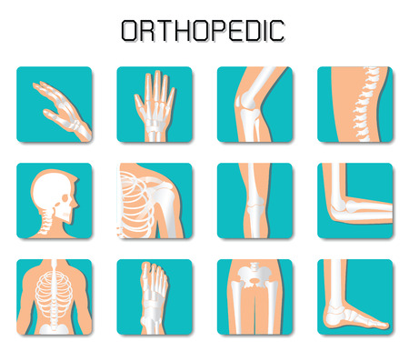 Orthopedic and spine icon set on white background, bone x-ray image of human joints, anatomy skeleton flat design vector illustration.のイラスト素材
