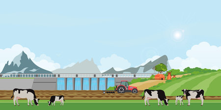 Landscape of Farmer driving a tractor in farm land on rural farm, holstein cow and calves in a field, agricultural workers farming , vector illustration.のイラスト素材