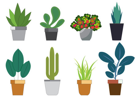 Various types of potted plants isolated on white background, perfect for use in design projects related to nature, interior decoration, or eco-friendly lifestyles.vector illustration.のイラスト素材