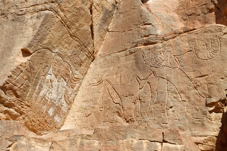 Prehistoric Rock Engraving of Elephants の写真素材