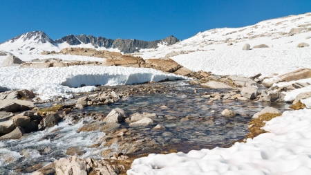 Melting Snow in the Sierra Nevada, California, USA
