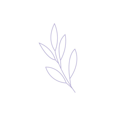 Eucalyptus leaf vector illustration. green flat style leavesのイラスト素材