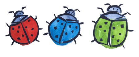 beetle by watercolorsの写真素材