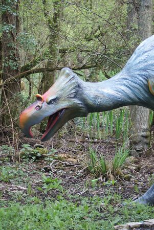 Phororhacosの写真素材