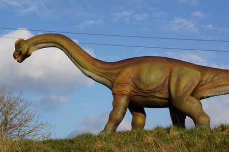 A large extinct Brachiosaurus - Brachiosaurus altithoraxのeditorial素材