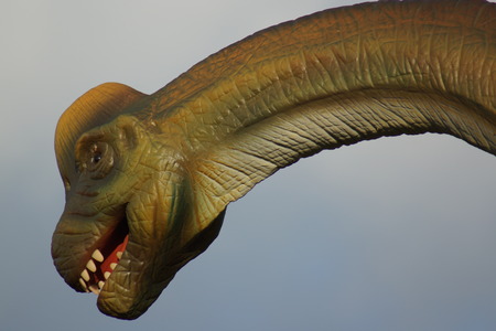 A large extinct Brachiosaurus - Brachiosaurus altithoraxのeditorial素材