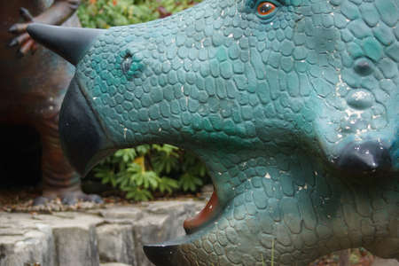 Pentaceratops - large horned armoured extinct prehistoric dinosaurの写真素材