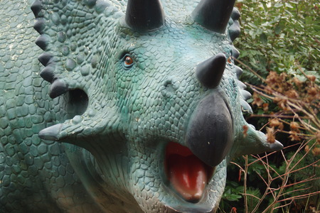 Pentaceratops - large horned armoured extinct prehistoric dinosaurの写真素材