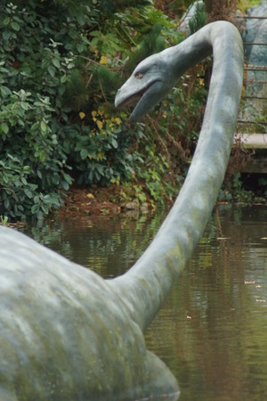 Plesiosaurus dolichodeirus - Plesiosaur and The Loch Ness Monster?の写真素材