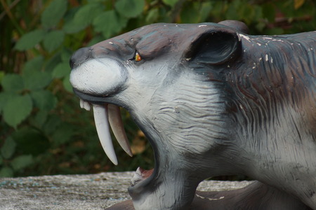 The Smilodon - prehistoric extinct Sabre-toothed Tigerの写真素材