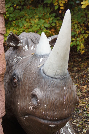 The Rhino Ancestor - Woolly Rhinoceros - Coelodonta antiquitatisの写真素材