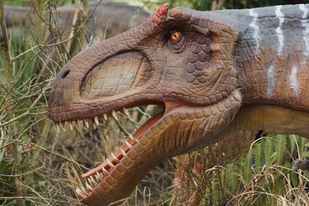 Prehistoric views - A fierce Allosaurus - Allosaurus fragilisの写真素材
