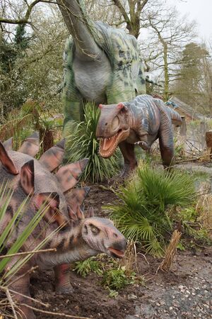 Dinosaurs - A carnivorous Allosaurus hunting a Stegosaurusの写真素材