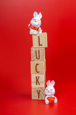 Chinese New Year 2023 concept. Lucky word written on wood block and Rabbit decorations with Chinese Sentences means "good luck". Isolated red.の写真素材