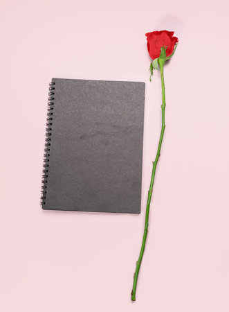 Red rose and blank black paper book on pink background. Copy space.の写真素材