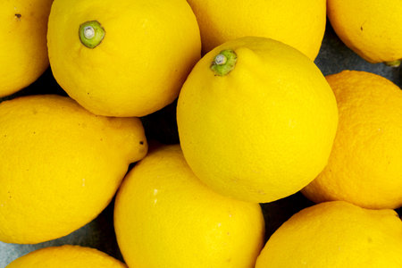 whole yellow lemons isolated on bright background. Lemons citrus fruit, healthy, summer. Copy spaceの写真素材