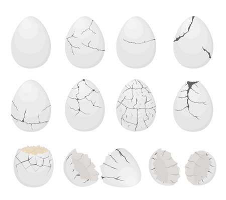 White egg set. Cracked, broken, exploded eggshell. Two halves of the shell. A culinary ingredient. Flat vector illustration.のイラスト素材