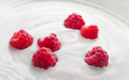 Natural yogurt with fresh raspberriesの写真素材