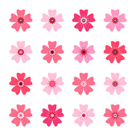 Flat color set Sakura or cherry blossoms in pink. Isolated on white background.のイラスト素材