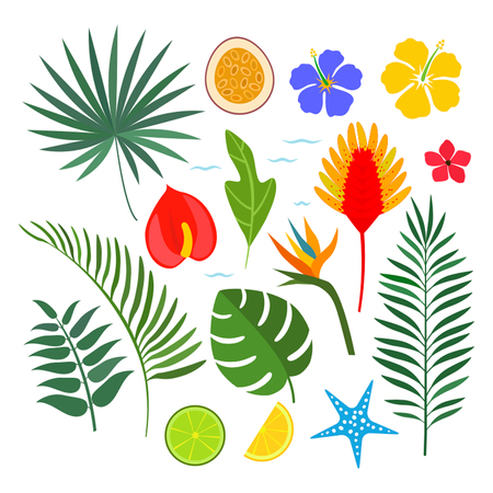 exzotikSET5のイラスト素材