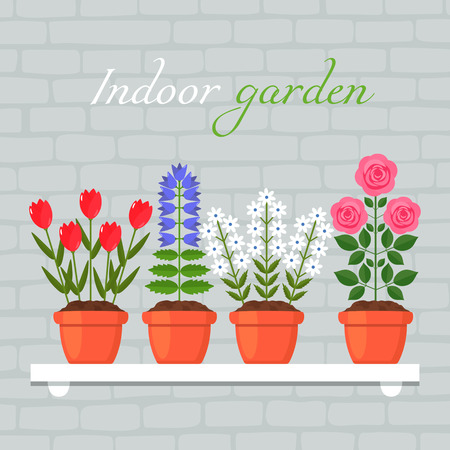 A set of house flowers in pots on a hanging wall. Beautiful bouquets of roses, daisies, violet. The concept of gardening. vector illustration isolated illustrationのイラスト素材