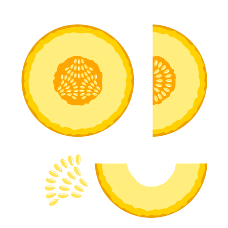 A set of whole and sliced cantaloupe. flat vector illustration isolated on white backgroundのイラスト素材