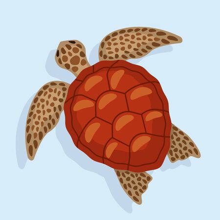 top view of a large sea turtle. black silhouette of a turtle.のイラスト素材