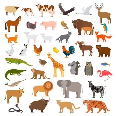 A large set of African, forest and animals and birds from the farm with the cubs. Bear, cow, elephant, lion. flat vector illustration isolated on white backgroundのイラスト素材