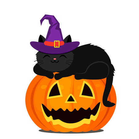 A cute black kitten in a purple witch hat sleeps on an orange pumpkin for Halloweenのイラスト素材