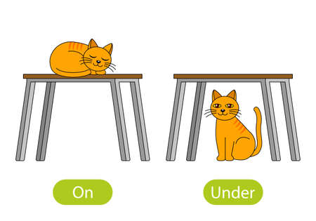 the cat sleeps ON the table and sits UNDER the table. the concept of children's learning of opposite prepositions on and under.のイラスト素材