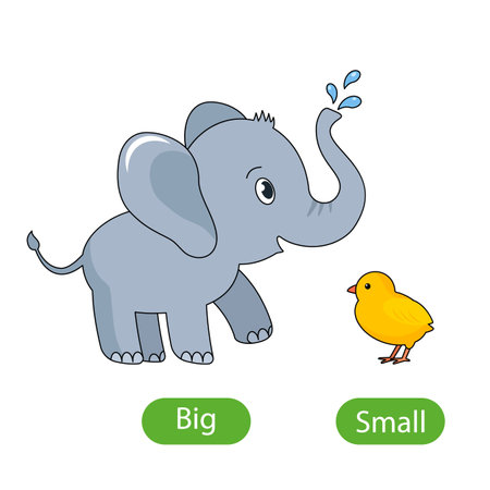 A large gray elephant and a small chicken. the concept of children's learning of opposite adjectives Big and Small. vector illustration isolated on white backgroundのイラスト素材
