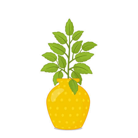 home decorative flower with green leaves in a vase. vector illustration isolated on white backgroundのイラスト素材