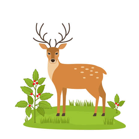 cute deer in a clearing in the forest near a bush with berries and green grass. vector illustration isolated on white backgroundのイラスト素材