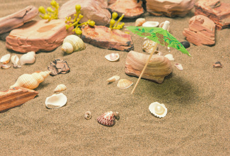 Stones and shells with paper umbrella in the sand. Toned in warm colorsの写真素材