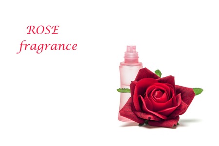 Perfume bottle with rose flower on white backgroundの写真素材