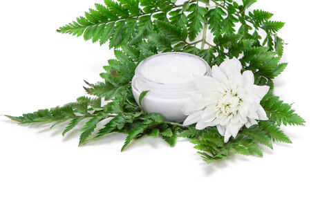 Open jar of cream with white flower standing on fern leaves, white の写真素材