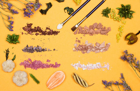 Autumn makeup concept: varicolored crushed compact eyeshadow with makeup brush and applicator in frame of variety of dried plants on yellow backgroundの写真素材