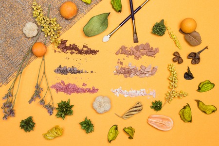 Autumn makeup concept: varicolored crushed compact eyeshadow with makeup brush and applicator in frame of variety of dried plants on yellow backgroundの写真素材