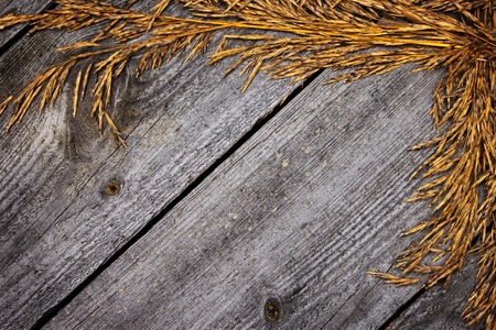 Autumn frame of dried grass on old wooden planks. Natural backgroundの写真素材