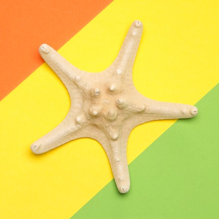 Starfish on orange, yellow and green background. Bright minimal summer designの写真素材