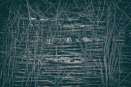 Rustic vintage background of wattle fence entwined with dry plants. Forgotten and abandoned placeの写真素材