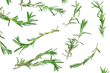 Rosemary sprigs on white background. Natural green pattern of fresh herbs. Top view, flat layの写真素材