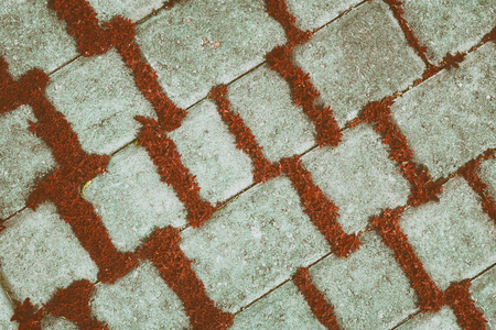 Retro background of concrete tiles with red plants, diagonal texture. Carmine herbs in paving slab joints, vintage styleの写真素材