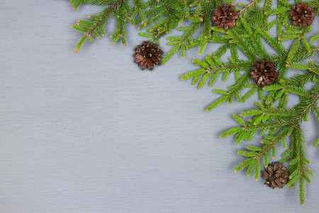 Natural spruce branches with pine cones on gray painted wood. Simple traditional Christmas...