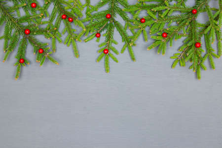 Green Christmas tree branches with red holly ilex berries on gray painted wood with copy space....