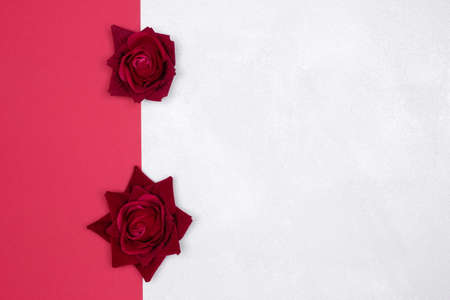 Two rose flowers on red and silvery white textured background. Copy space
