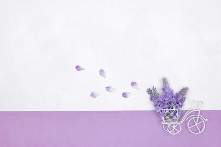 Small white toy bicycle with purple flower bouquet in basket and flying petals behind. Cute spring background. copy spaceの写真素材